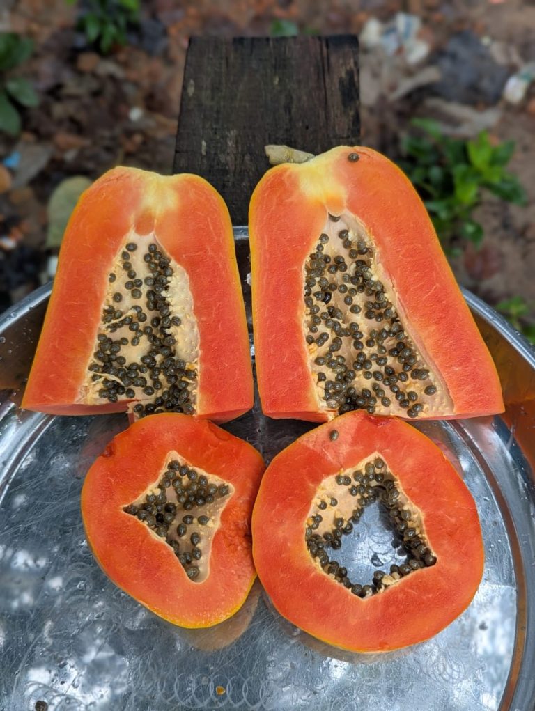 WhatsApp Image 2025-10-30 at 10.31.55 AM (1)