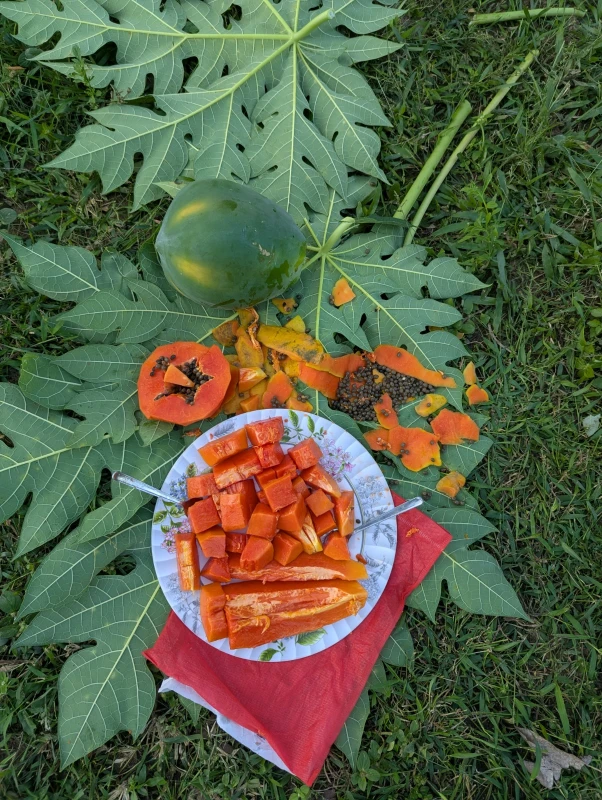 WhatsApp Image 2025-11-15 at 6.07.49 PM (1)