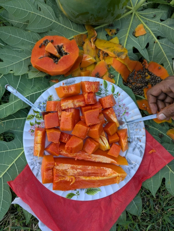 WhatsApp Image 2025-11-15 at 6.11.28 PM