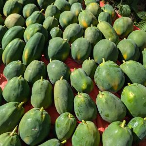 রেড লেডি পেঁপে (৫কেজি)